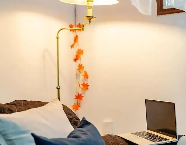 Rentenerife Life エル・メダノ